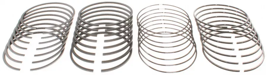 Clevite - 41909.020 -RING SETMOLY