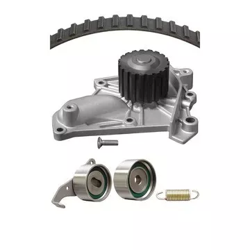 Dayco Engine Timing Belt Kit with Water Pump P/N:WP087K1A